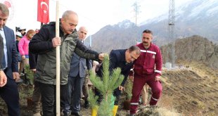 Hakkari'de 2 bin 500 fidan dikildi