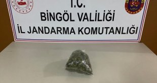 Bingöl'de uyuşturucu operasyonunda 1 şüpheli yakalandı