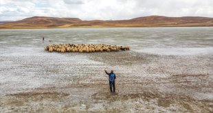 Van'daki Tuz Gölü kuraklık ve aşırı buharlaşma nedeniyle yeniden kurudu