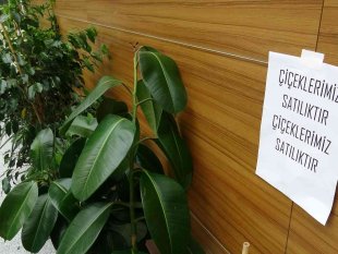 Başhekim Sarıkaya'dan takdir toplayan hareket