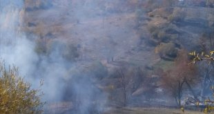 Malatya'da 5 dönümlük ormanlık alan yandı