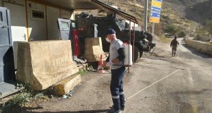 Hakkari'de Sarı Ömer örümceğine karşı ilaçlama yapıldı