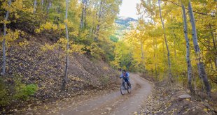 Doğa tutkunları Tunceli'deki Salördek ormanlarında stres atıyor