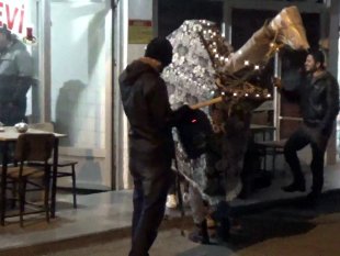 Gençlerin deve oyunu renkli görüntüler oluşturdu