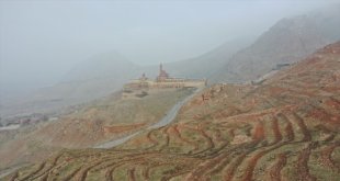 İshak Paşa Sarayı'nın çorak çevresi yeşile bürünüyor