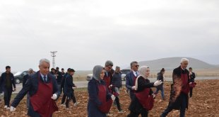 Malatya'da öğrenciler buğday ekimi yaptı