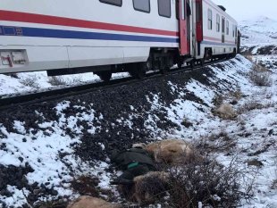 Erzincan'da trenin çarptığı çoban öldü