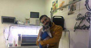 Evcil hayvanlara mikroçip taktırma için son gün 31 Aralık