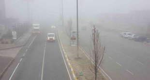 Erzincan'da sis ve soğuk hava etkili oldu