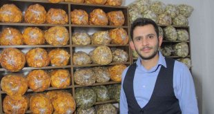 Mühendisliği bıraktı, Elazığ'da bir ilki başardı: Meyve kurusu siparişlerine yetişmeye çalışıyor