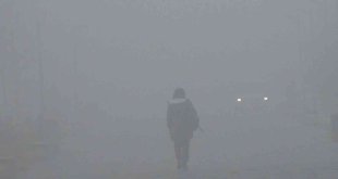 Kars'ta sis hayatı olumsuz etkiliyor