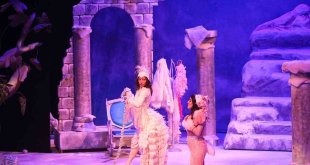 Van'da bir ayda 8 bin çocuk tiyatroya götürüldü