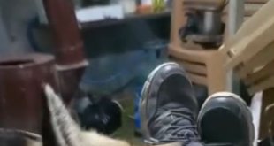 Tunceli'de arıcı ile tilkinin sevimli dostluğu