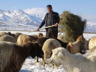 Besicilerin 6 ay süren kış mesaisi başladı