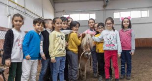 Manej alanı ve atçılık koordinatörlüğü hizmetini sürdürüyor
