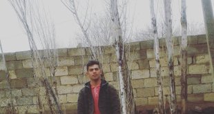 Iğdır'da amca çocuklarının kavgasında bir kardeş öldü, diğeri yaralandı