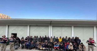 Bitlis'te 60 düzensiz göçmen ve iki organizatör yakalandı