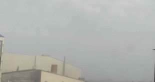 Ardahan'da yoğun sis