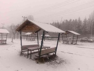 Bitlis'te kar yağışı etkili oldu