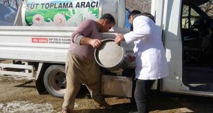 'Soğuk Süt Zinciri' Projesiyle besiciler emeklerinin karşılığını almaya başladı