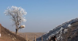 Muşlu genç kızak yaparak geçimini sağlıyor