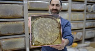 Bingöl balı 3,5 milyon dolarlık destekle uluslararası piyasada güçlenecek