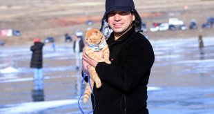 Sevimli ev kedisi "Tarçın" Çıldır Gölü'nün buz kaplı yüzeyiyle tanıştı