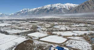 Geçen yıl karla kaplı Ovacık'ta en kurak kış yaşanıyor
