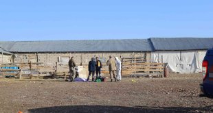 Ağrı'da silahlı saldırı: 3 kişi kafasından vurularak öldürüldü