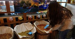 Yüksekova'da organik ürün satışına ve yöresel yemeklere kadın eli değdi