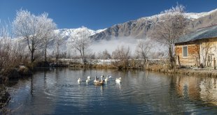 Tunceli'de ağaçlar kırağı tuttu, karlı dağların zirvesi sisle kaplandı