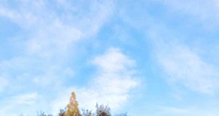 Gençlik ve Değişim Derneği, Viyana'daki 'Gençlik Kentleşme İçin Eylemde' programına katıldı