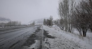 Van'da kar etkili oldu