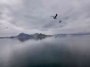 Tunceli'nin o ilçesinde suya zam yok