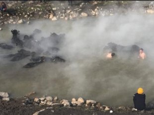 Güroymak'ta çekilen "Madak" belgeseline büyük ilgi