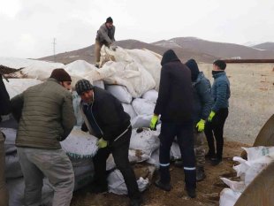 Ağrı'dan deprem bölgesine mısır silajları gönderildi