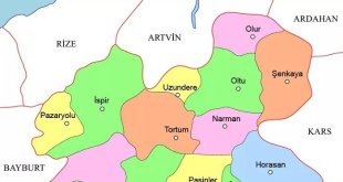 Erzurum ilçe nüfusları açıklandı