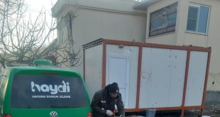 HAYDİ, deprem bölgesindeki can dostlarını yalnız bırakmadı