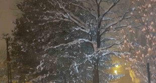 Ağrı'da okullar tatil edildi