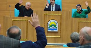 Tatvan'da 6 caddenin ismi değiştirildi, 147 sokağa numara verildi