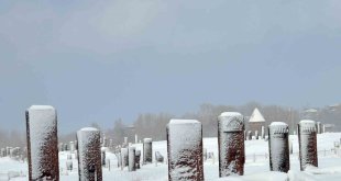 'Sakin şehir' Ahlat'ın tarihi mekanlarından kartpostallık kar manzaraları