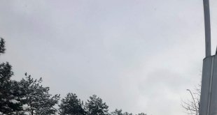 Elazığ'da trafik kazası: 1 yaralı