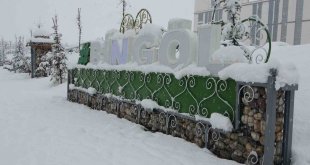 Bingöl kar kalınlığı 40 santime ulaştı: 283 köy yolu kapandı