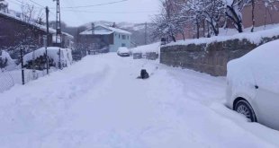 Tunceli'de 251 köy yolu ulaşıma kapandı