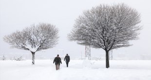 Van, Hakkari, Bitlis ve Muş'ta 205 yerleşim birimine ulaşım sağlanamıyor