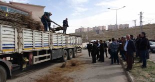 Van'da 31 bin adet meyve fidanı dağıtıldı