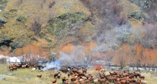 Aras Dağları'nda karlar erimeye başladı