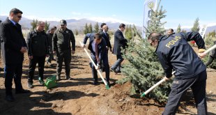 Erzincan'daki depremzedeler enkazda yitirdiklerinin anısına fidan dikti