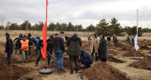 Doğu Anadolu'da '6 Şubat Deprem Şehitleri Ormanı' oluşturuldu