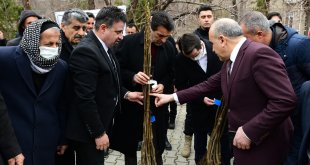 Çatak'ta çiftçilere 19 bin 250 ceviz fidanı dağıtıldı